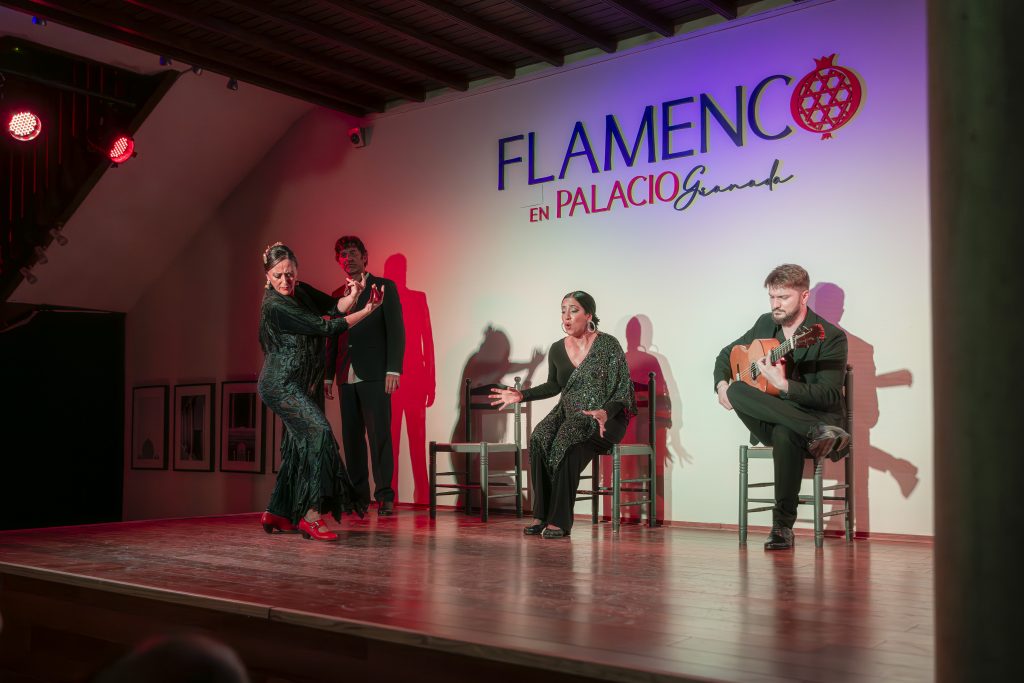 Espectáculo de Flamenco en Palacio