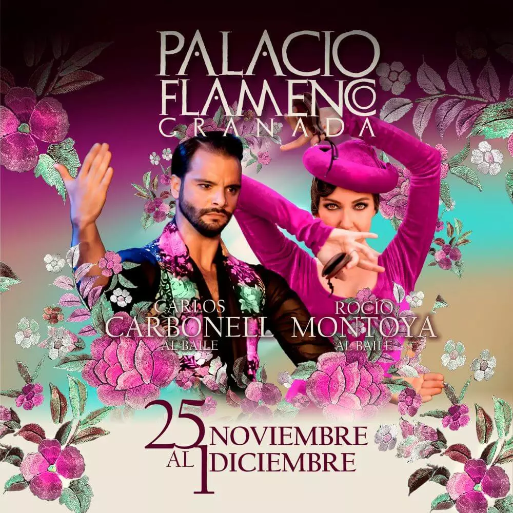 Programación del 25 de noviembre al 1 de diciembre